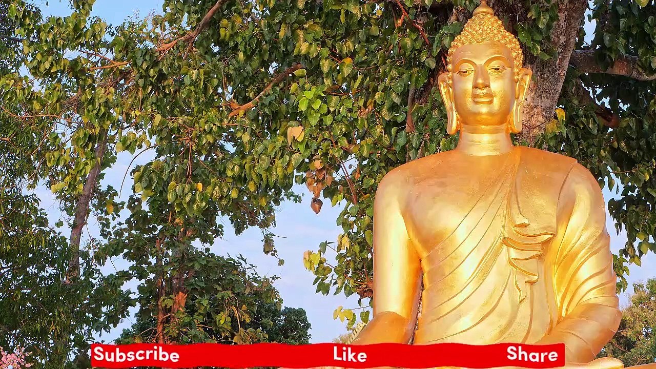 Drinking tea started 5 thousand years ago in China, while the custom of tea with milk and sugar was started by Kublai Khan چائے نوشی کا آغاز 5 ہزار برس قبل چین میں ہوا، جبکہ دودھ شکر والی چائے کا رواج قبلائی خان نے شروع کیا