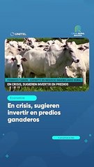 En crisis, sugieren invertir en predios ganaderos