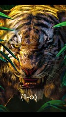 Clash of the Centuries! For Dominance! #animals #tiger #wolf #viral