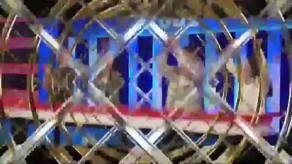 Así será Agosto en Canal 9 Resistencia (2024)