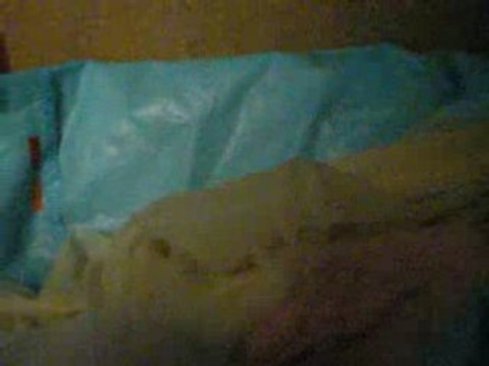 chaton lonchnal