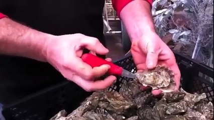 mickey 3D la vierge au dodge 51 clip non officiel (reprise H F Thiefaine)