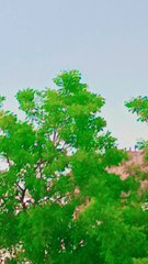 Here's my latest video