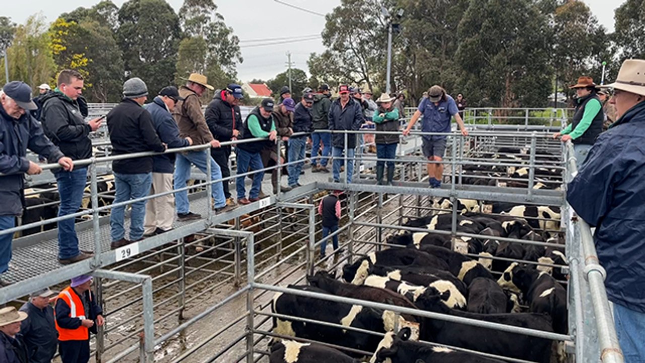 Nutrien Boyanup 7-8-24 | Farm Weekly