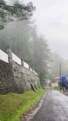 Mesmerizing musical video