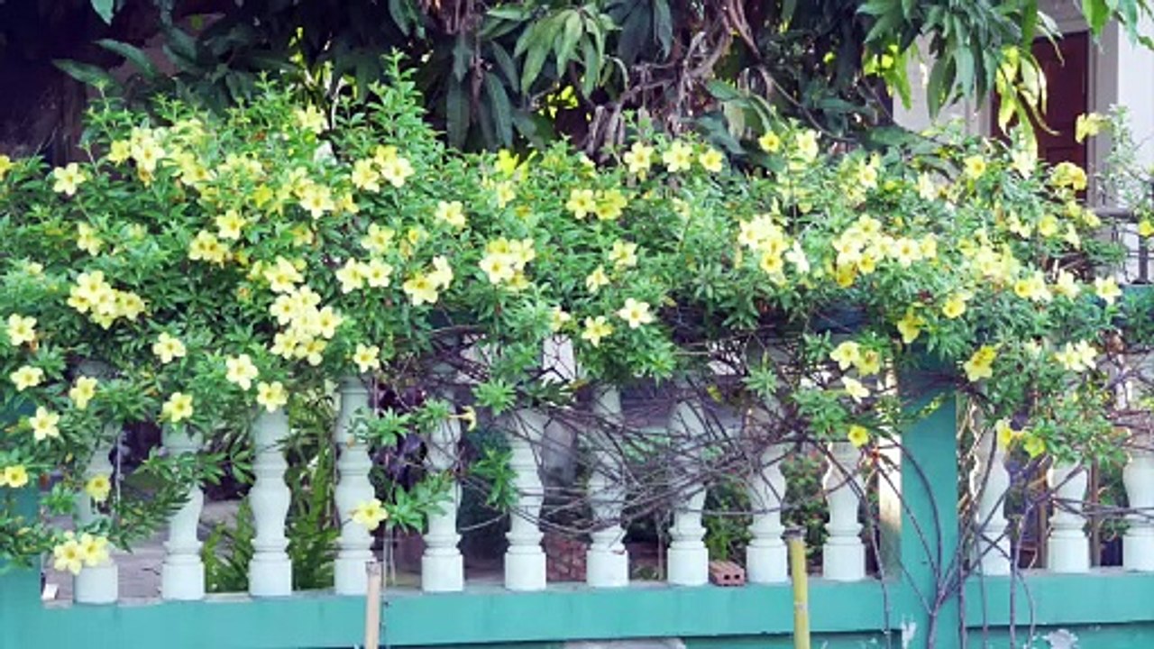 Drachen und Götter. Auf Fotosafari in Nord-Thailand #shiva #drache #höhle #tempel #kloster #thai (720p_60fps_H264-128kbit_AAC)