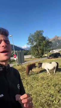 Hautes-Alpes - En colère, un éleveur lance un appel sur les réseaux sociaux pour retrouver son poulain âgé de trois mois: On m’a volé mon poulain en pleine journée - Regardez