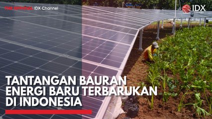 Tantangan Bauran Energi Baru Terbarukan di Indonesia