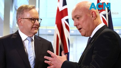 PM Albanese Responds to NZ Leader's Insult Over Aussie 'Stupid' Jibe 🇦🇺