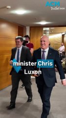 PM responds after NZ insinuates Aussies are 'stupid'