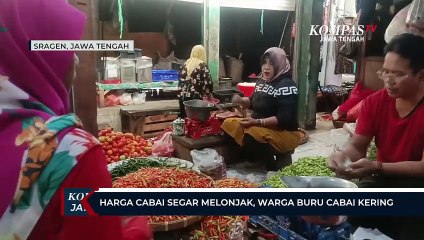Harga Cabai Segar Melonjak, Warga Buru Cabai Kering