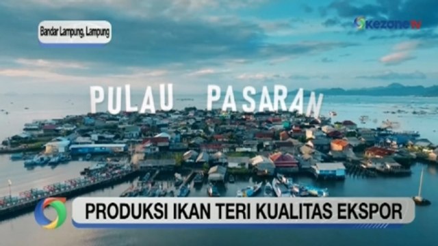 Pulau Pasaran Lampung Produksi Ikan Teri Kualitas Ekspor