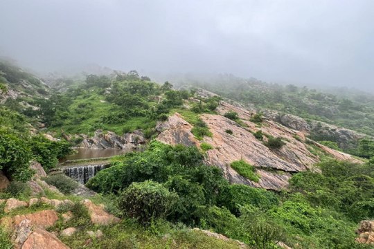 Monsoon Rain : जयपुर में रिमझिम बारिश, दौसा में जमकर बरस रहे मेघ