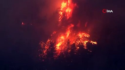 Muğla'da orman yangını, alevler yerleşim yerlerine ulaşmıştı; güzel haber geldi