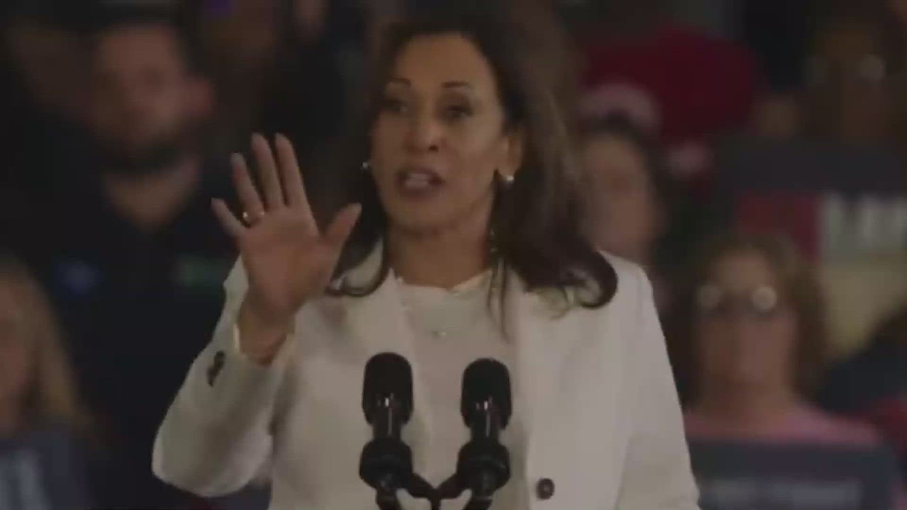 Kamala Harris clashes with anti-Israel protesters during Detroit speech, delivers fiery response