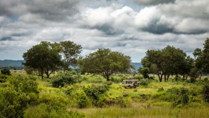 Encuentran en África a un gran mamífero que se creía extinto desde hace 24 años