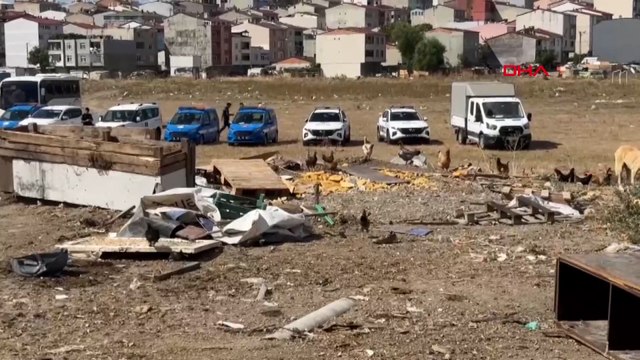 Avcılar'da kaçak ahır ve barakalarda ikinci yıkım