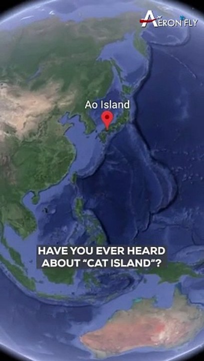 Purr-fect paradise found! Welcome to Ao Island, the island of cats | AeronFly | Make Your Safar Suhana With AeronFly