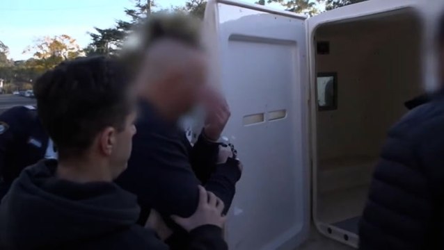 Bluey coins theft suspect arrested after allegedly stealing £309,000 worth of currency