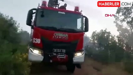 Bingöl'de Orman Yangını Kontrol Altına Alındı