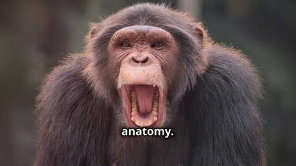 "Can Chimps Learn to Speak ?"  - The Surprising Revelation !