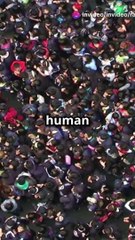 Sheikh Hasina's Resignation: Daughter's Heartbreak