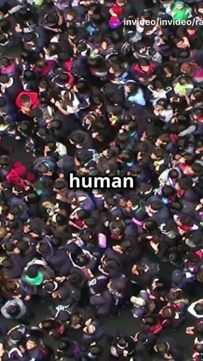 Sheikh Hasina's Resignation: Daughter's Heartbreak