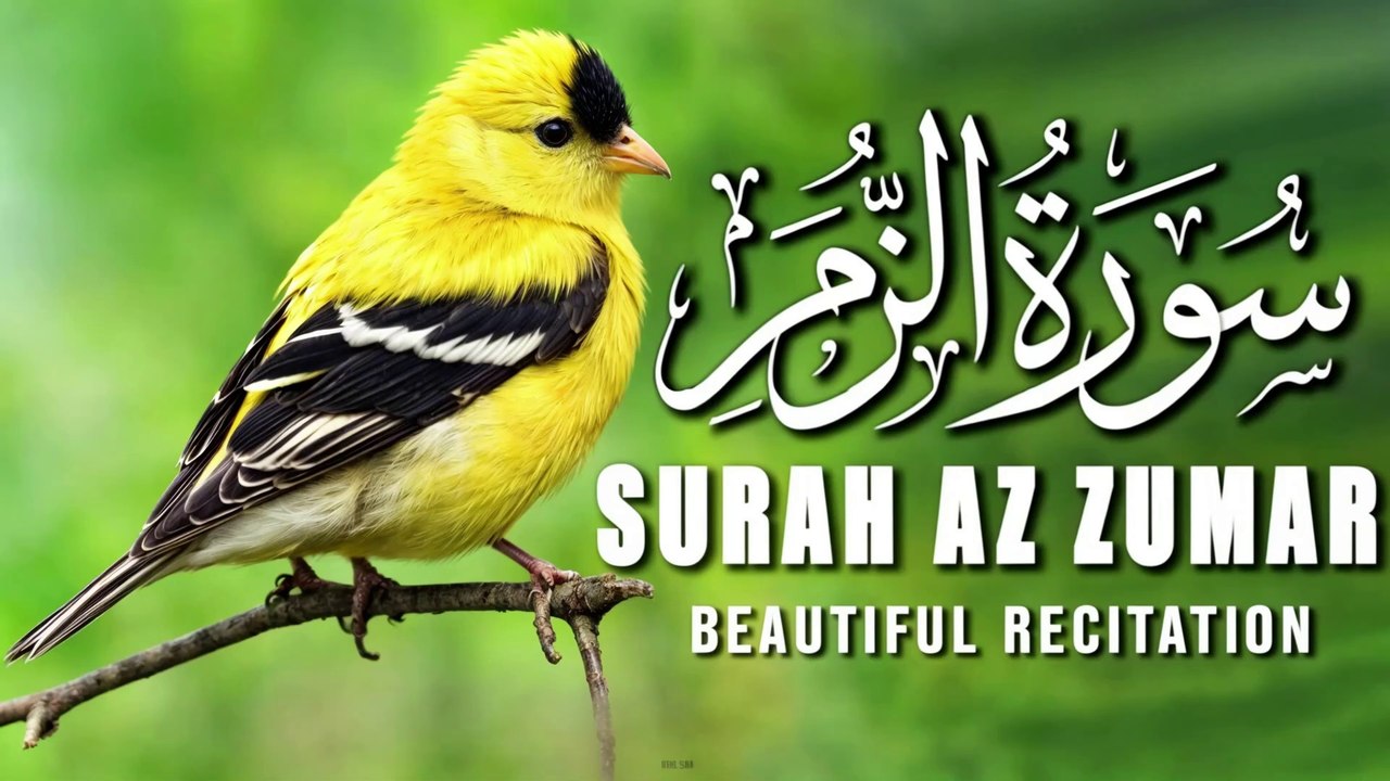 Beautiful Recitation of Surah Az Zumar |  Most Beautiful Recitation Of Quran |Tilawat e Quran | AlQuran