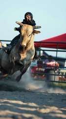 Je suppose que soit tu montes le taureau… soit le taureau te chevauche
