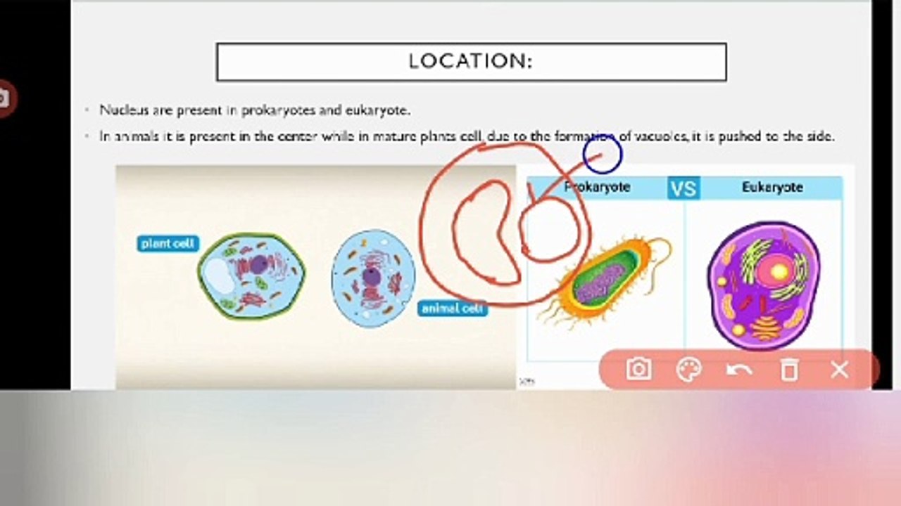 Nucleus in Urdu | organelles structure | Lec # 7 | chp # 4 | cells and tissues | 9th class Biology