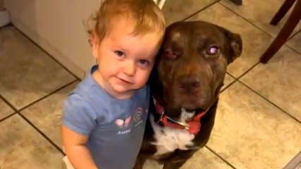 Heartwarming moment: Little girl poses with her dog for a picture