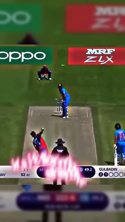 Cricket lover video