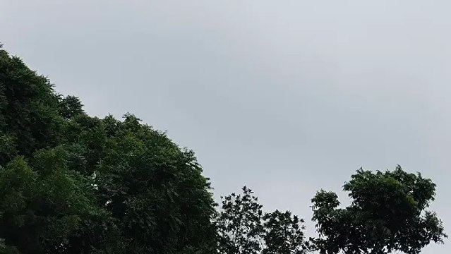 Bihar Weather News Today: बिहार के किन ज़िलों में हुई ज्यादा बारिश, पढ़िए आज का मौसम समाचार