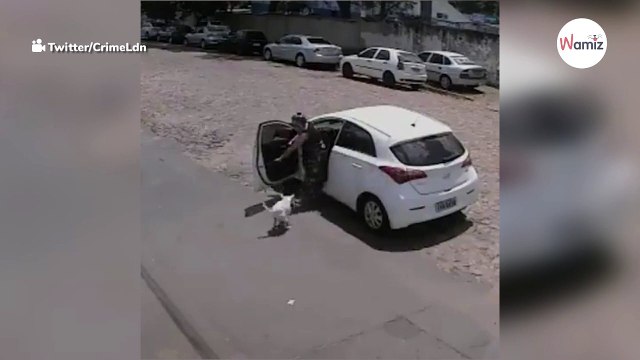 Próbują pozbyć się swojego psa 2 razy w ciągu jednego dnia, ale sprawy nabierają niespodziewanego obrotu