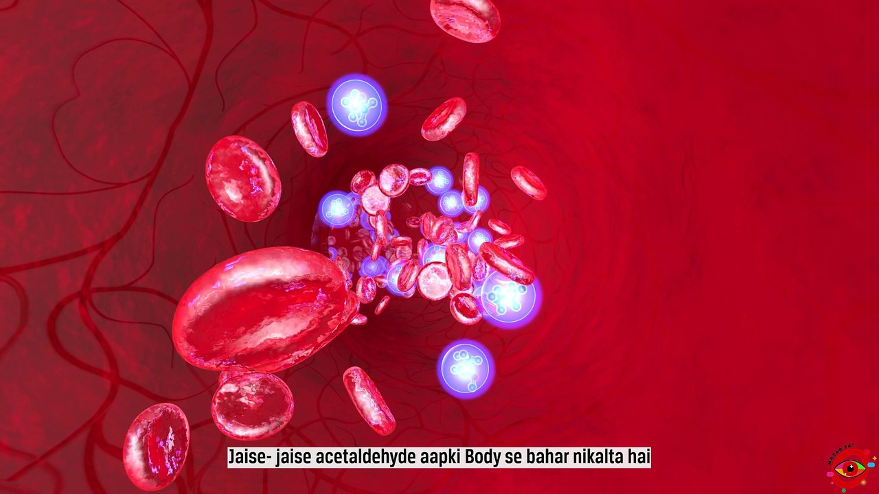 Hangover Se Chutkara: 5 Foods To Cure Your Hangover | Health Tips