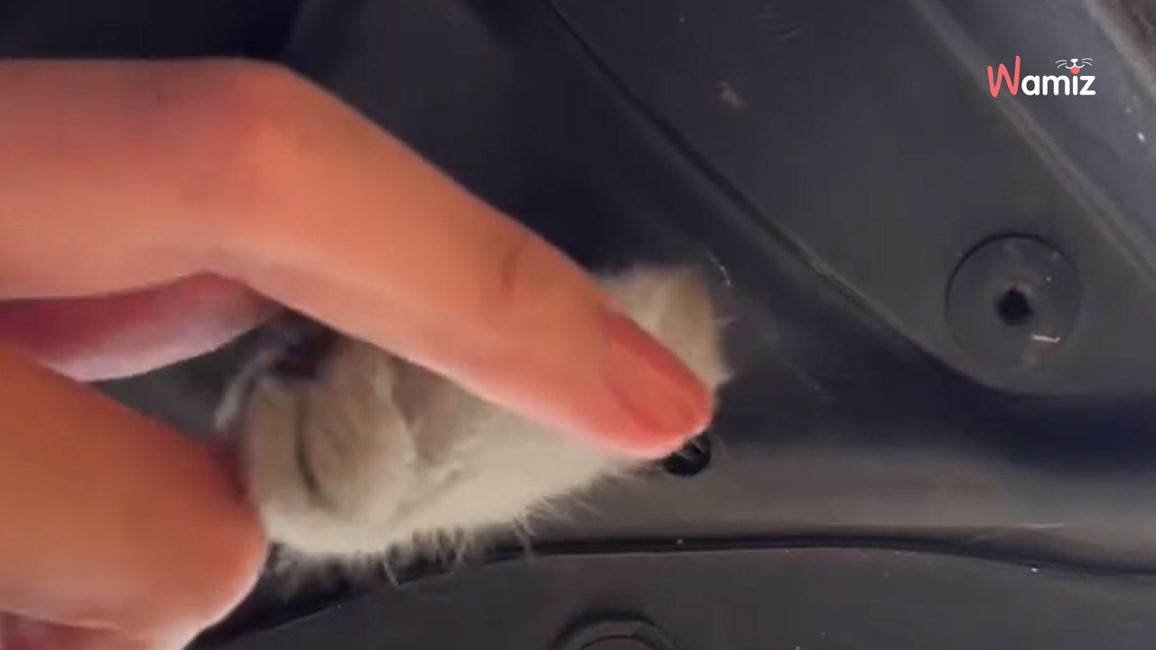 Il roule 1H et entend des bruits dans le moteur : son sang ne fait qu'un tour quand il réalise ce que c'est