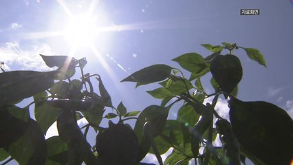 경남, 70·80대 2명 '온열 질환 추정' 사망 / YTN