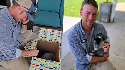 Farmer Surprised With New 'Healer' Puppy After Losing Beloved Dog | Happily TV