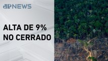 Alerta de desmatamento cai 45% na Amazônia, segundo Inpe