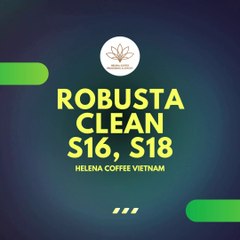 Robusta Clean Dry Process Coffee Beans S16, S18 | Vietnam Coffee Supplier