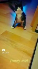 child wants ,,,,,,,_ #youtube #funny #cute #0321 #0010 @star_14672