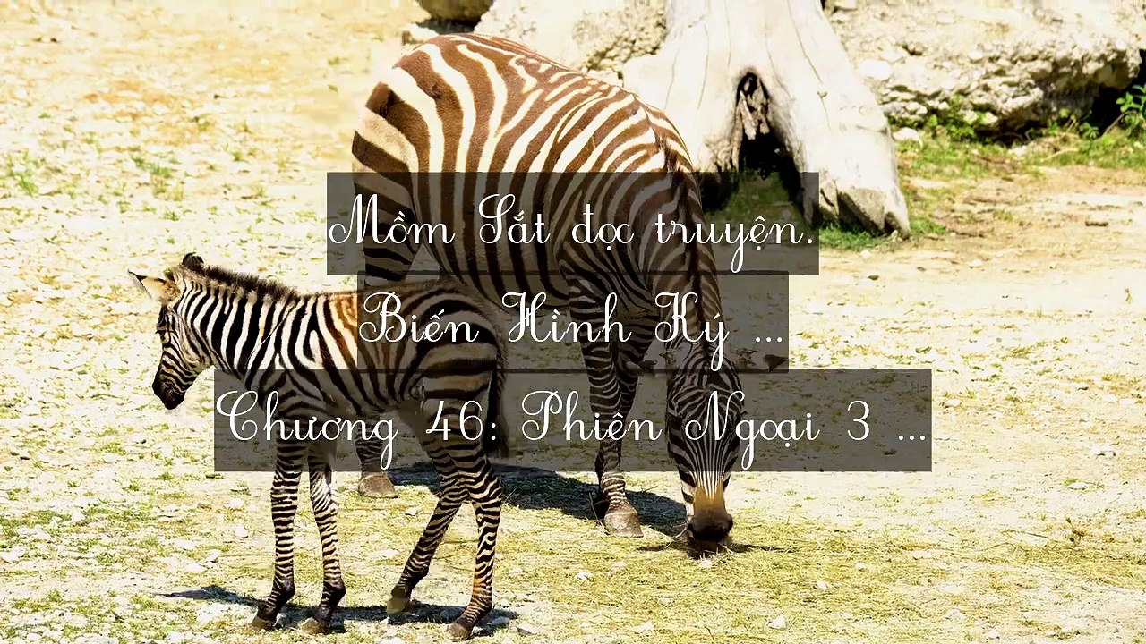Mới 2024 Chương 46-48 (HẾT): Biến Hình Ký