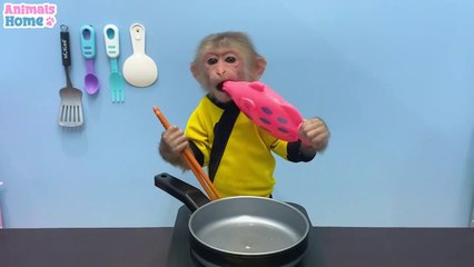 BiBi goes fishing to feed Ody cat #01Trending