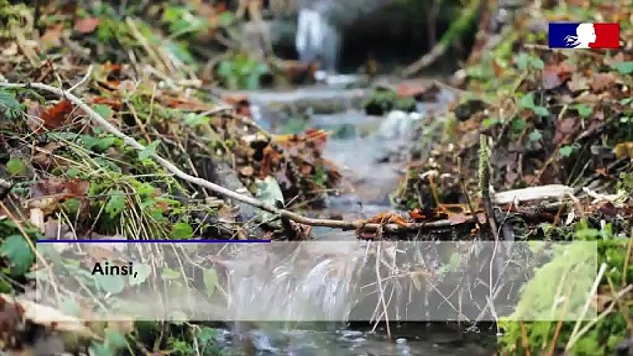 Les cours d'eau réactifs
