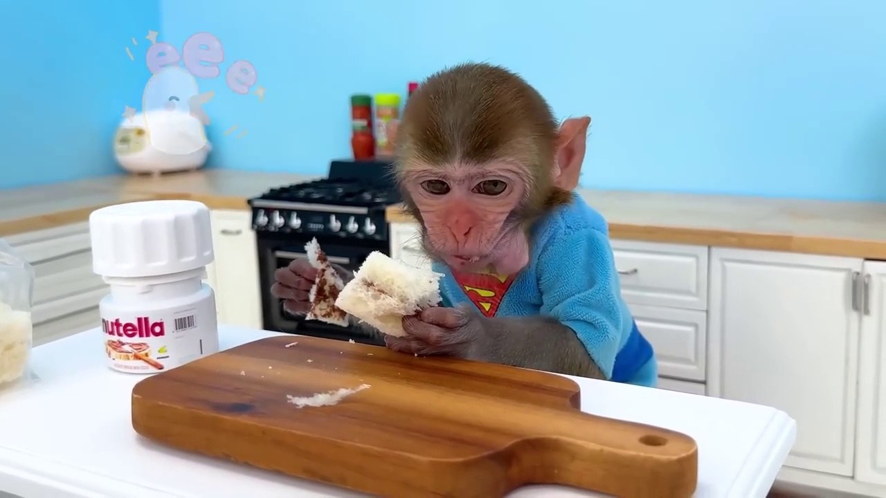 Monkey Baby Bon Bon goes shark fishing and eats watermelon and ducklings in the garden