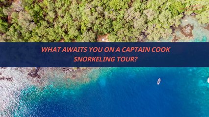 What Awaits You On A Captain Cook Snorkeling Tour