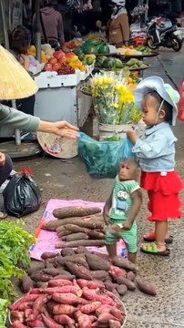 Monkey and Baby Buying Vegetables