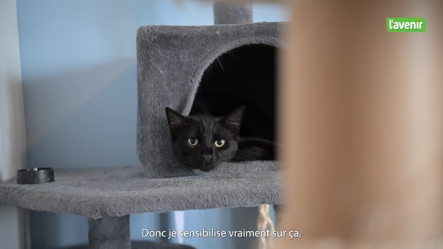 Sarah et Damien, famille d'accueil pour chats