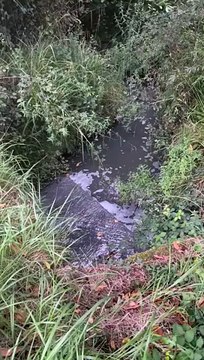 Vídeo de las aguas residuales vertidas