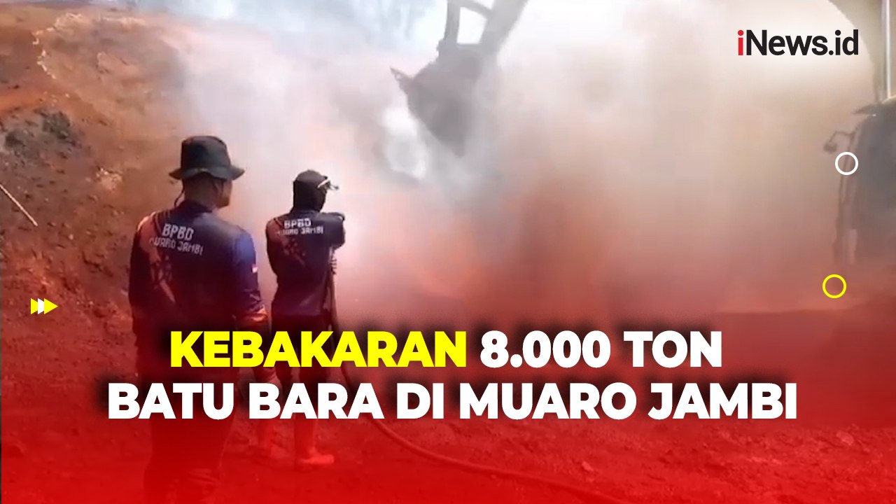 Terkendala Cuaca,  8.000 Ton Batubara di Muarojambi Masih Belum Bisa Dipadamkan